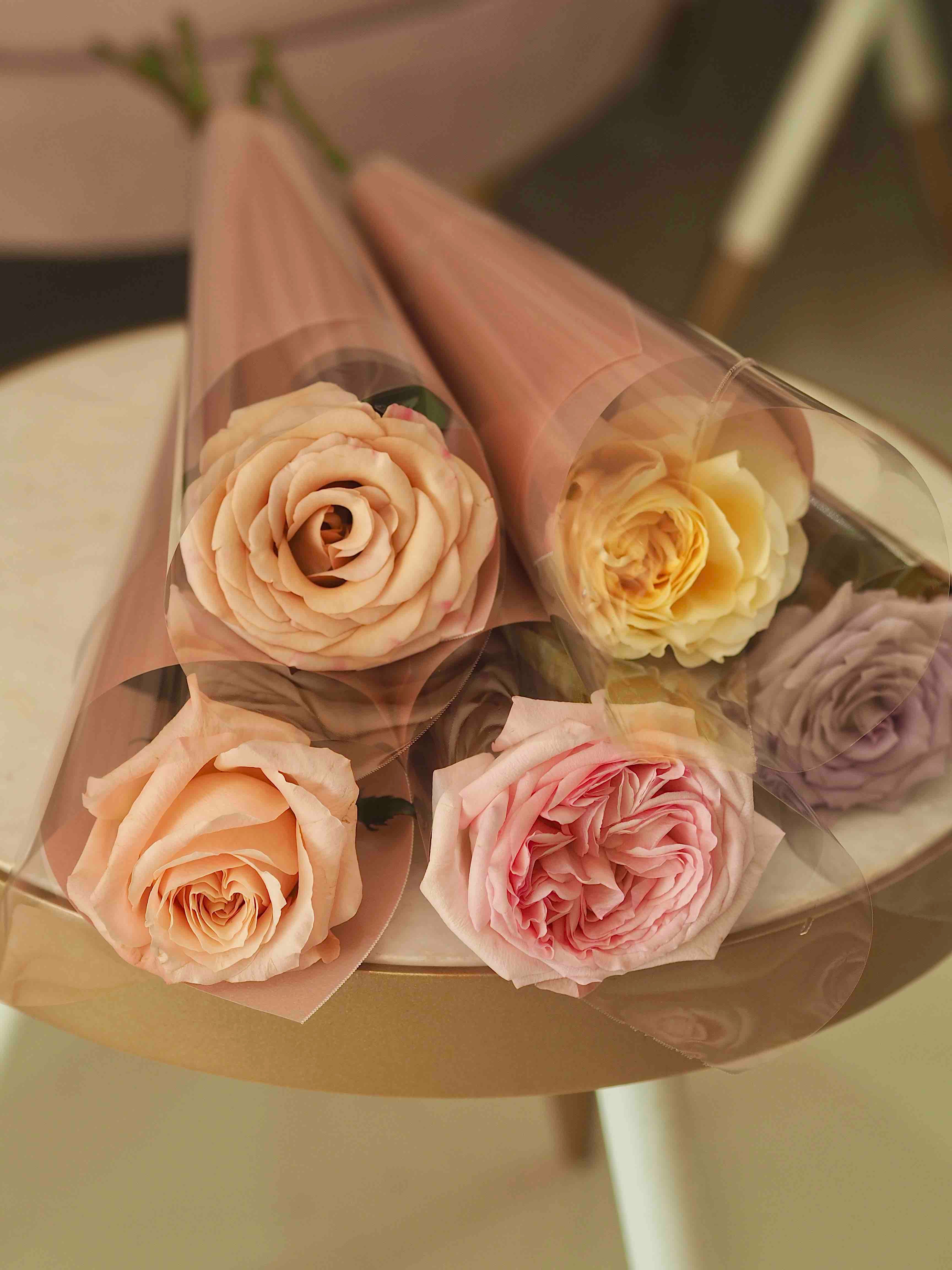 Single Stalk Roses