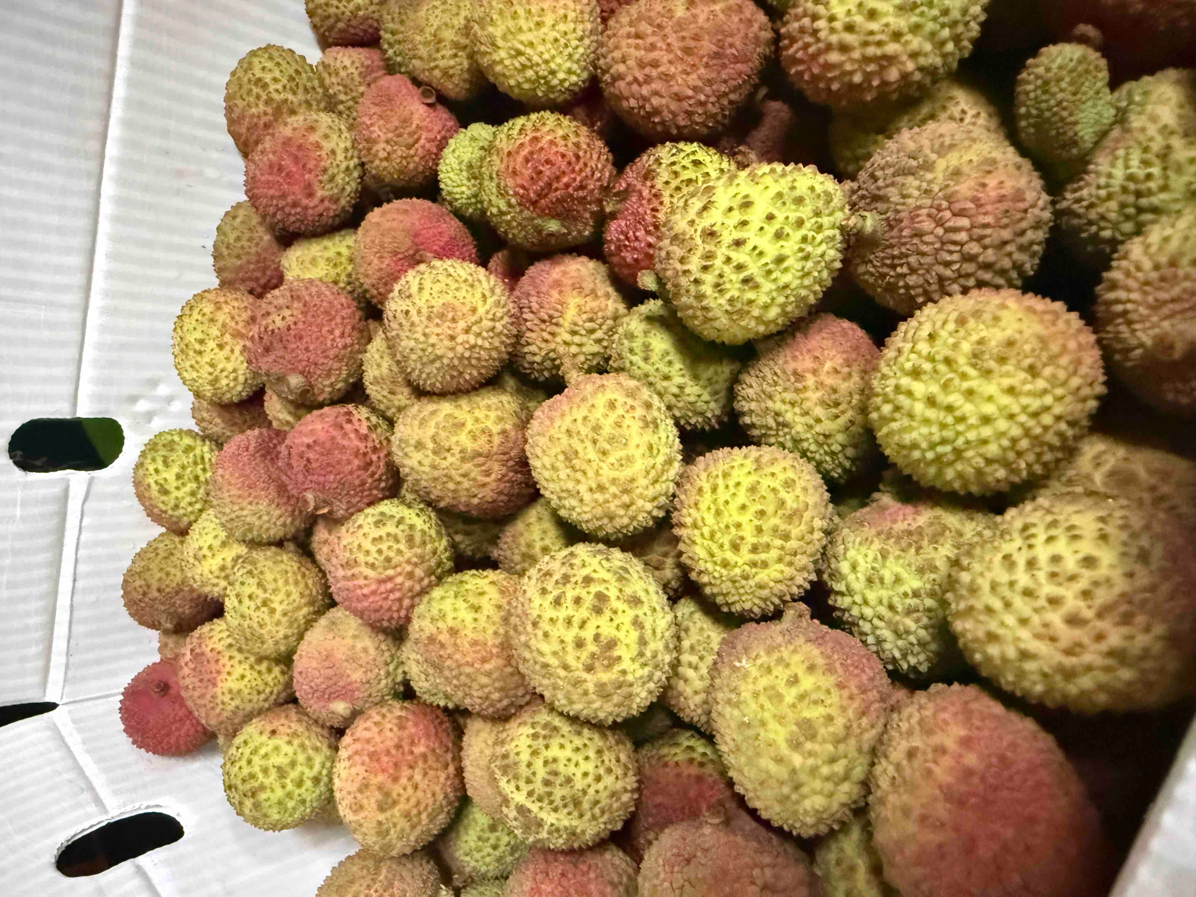Lychee seedless (500gm)