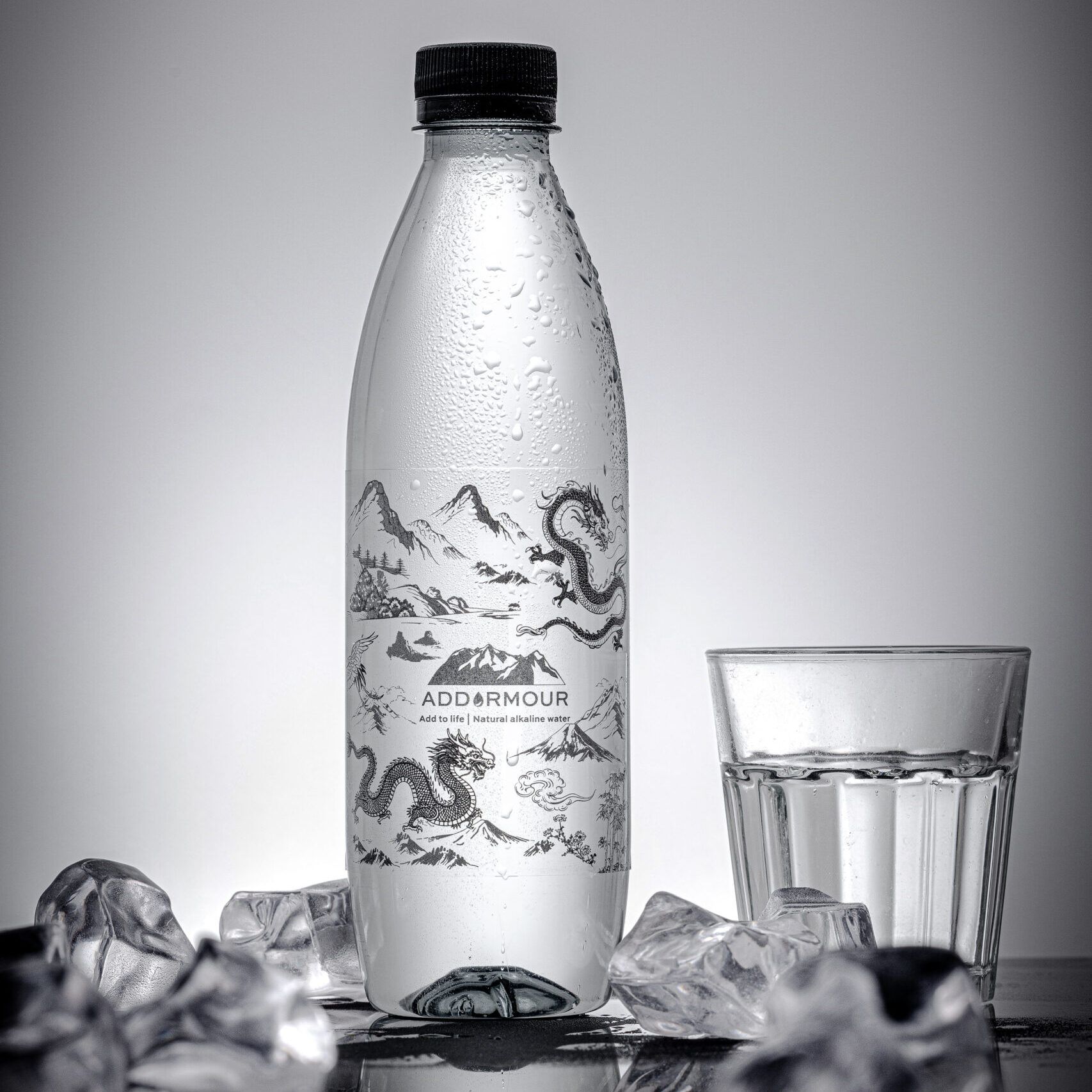 24 Bottles Naturally Alkaline Water