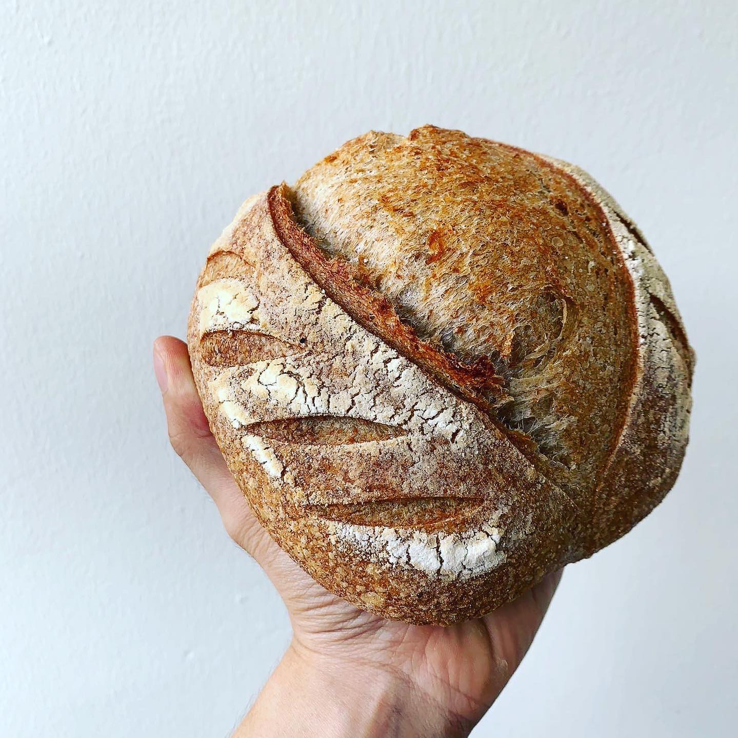 Surprise  C’rius Bakery Bag