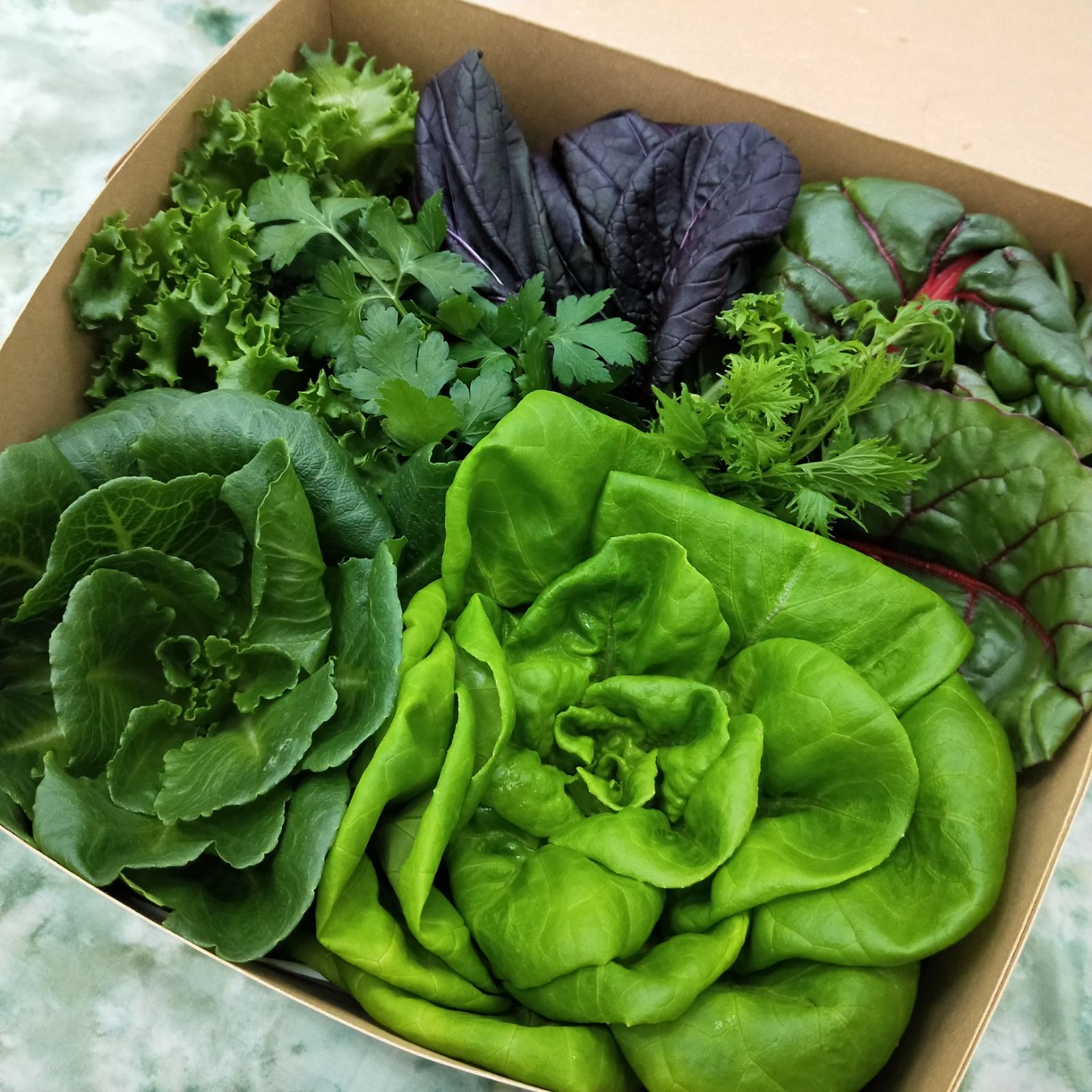 Surprise Bountiful Bag