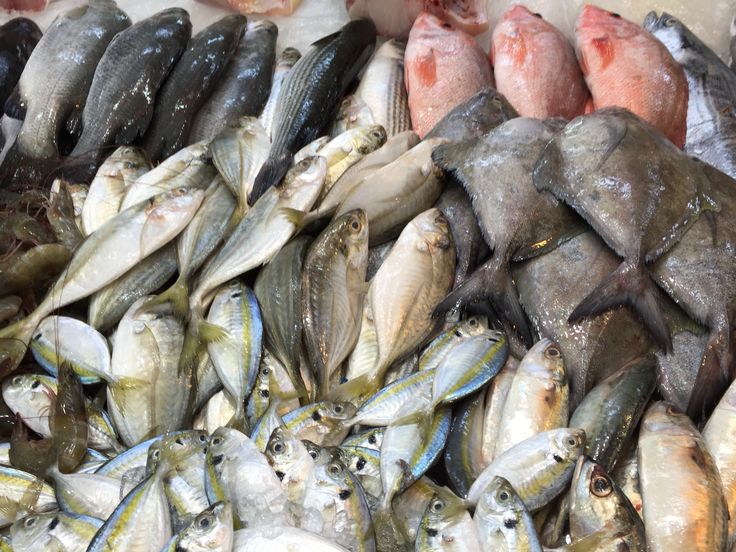 Surprise Seafood Bag
