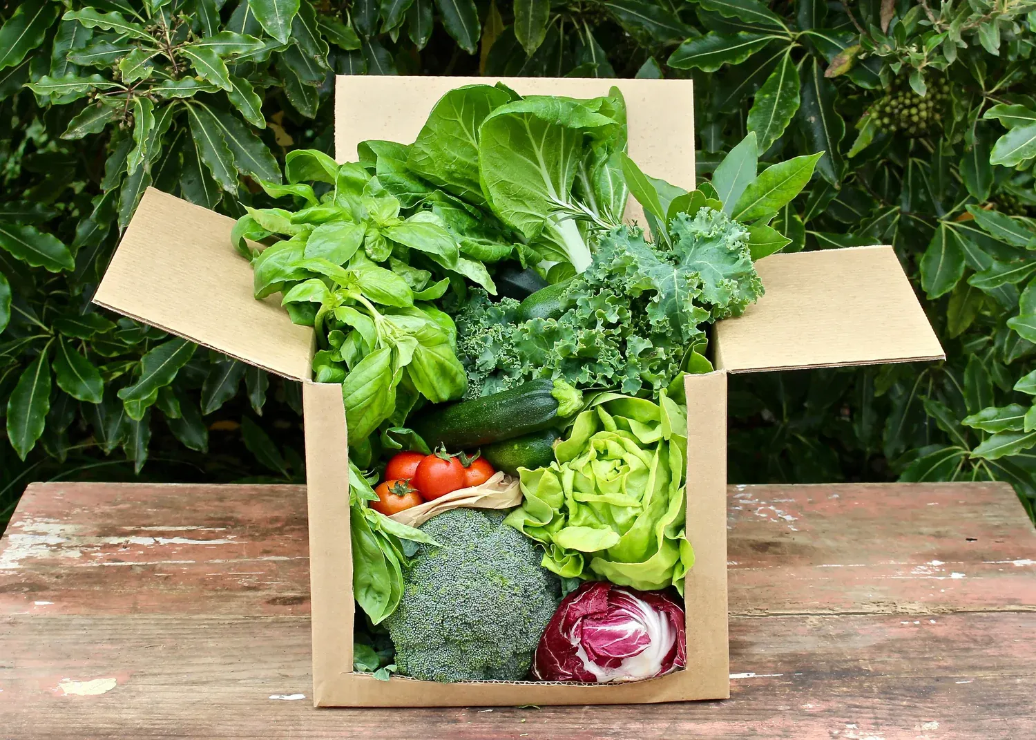 Surprise Little Farms Produce Bag